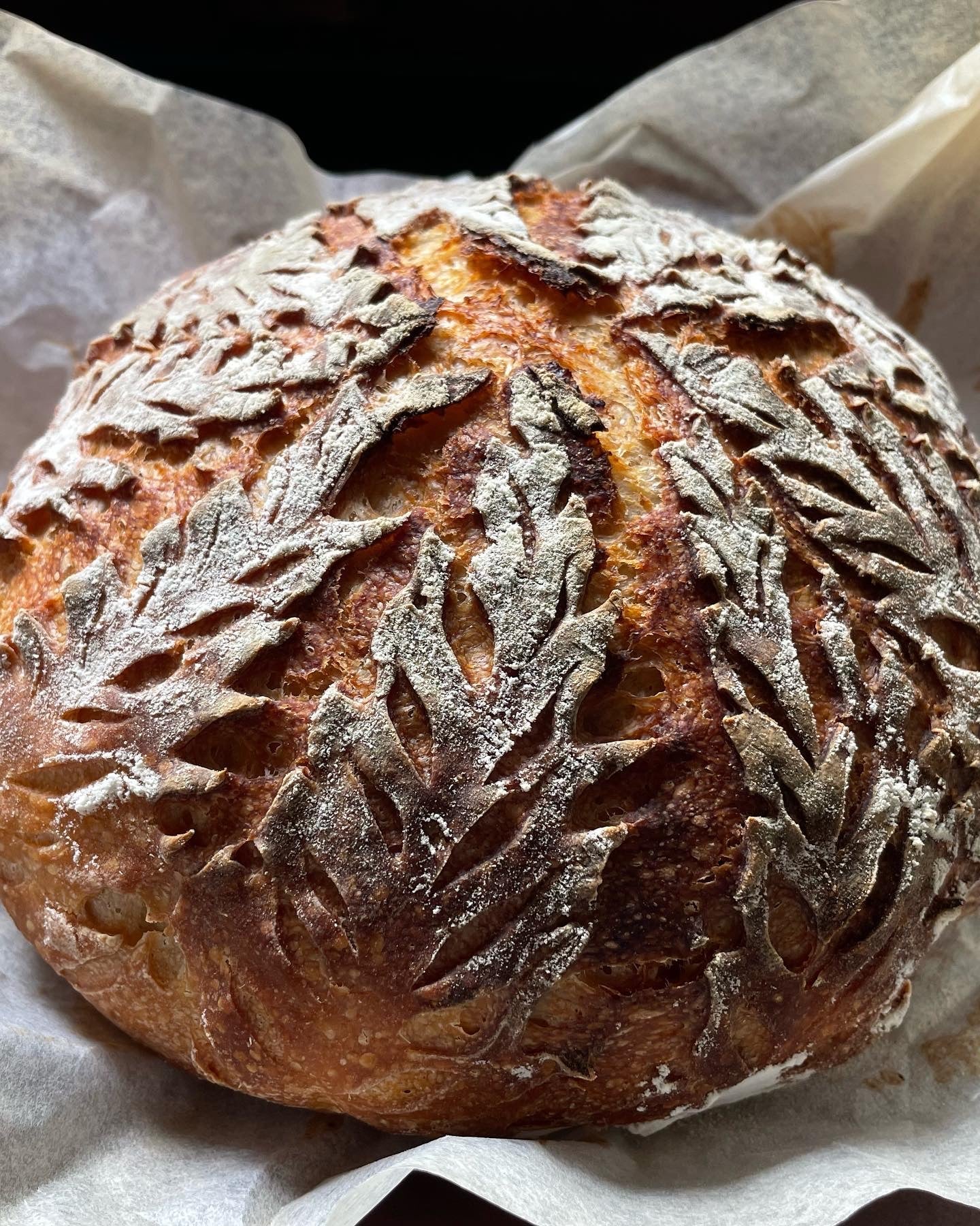 What makes Sourdough so special?